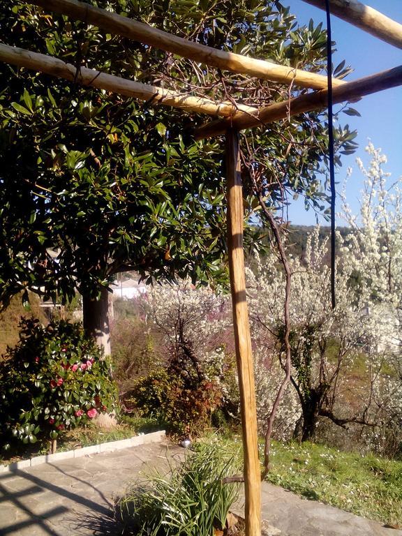 Nightingale Cottage Pelion Kalamaki  المظهر الخارجي الصورة