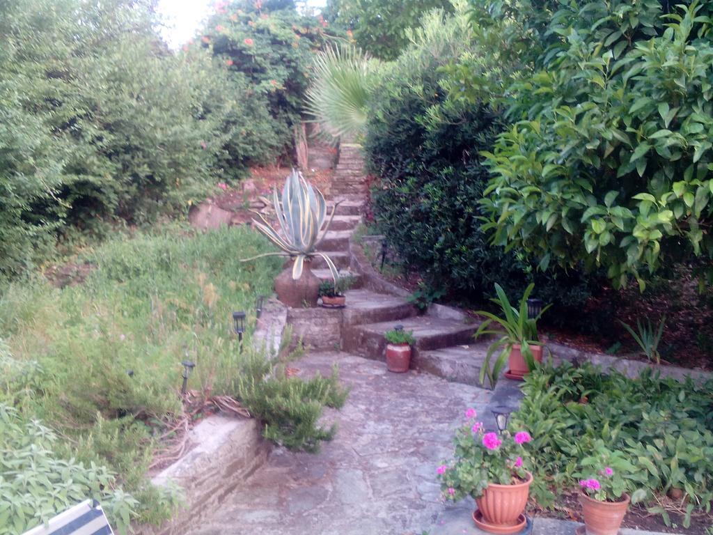 Nightingale Cottage Pelion Kalamaki  المظهر الخارجي الصورة