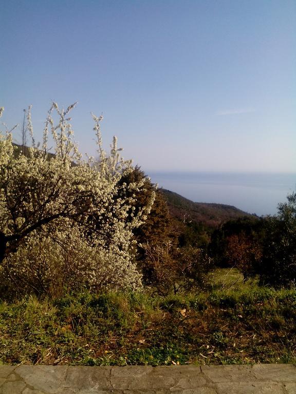 Nightingale Cottage Pelion Kalamaki  المظهر الخارجي الصورة