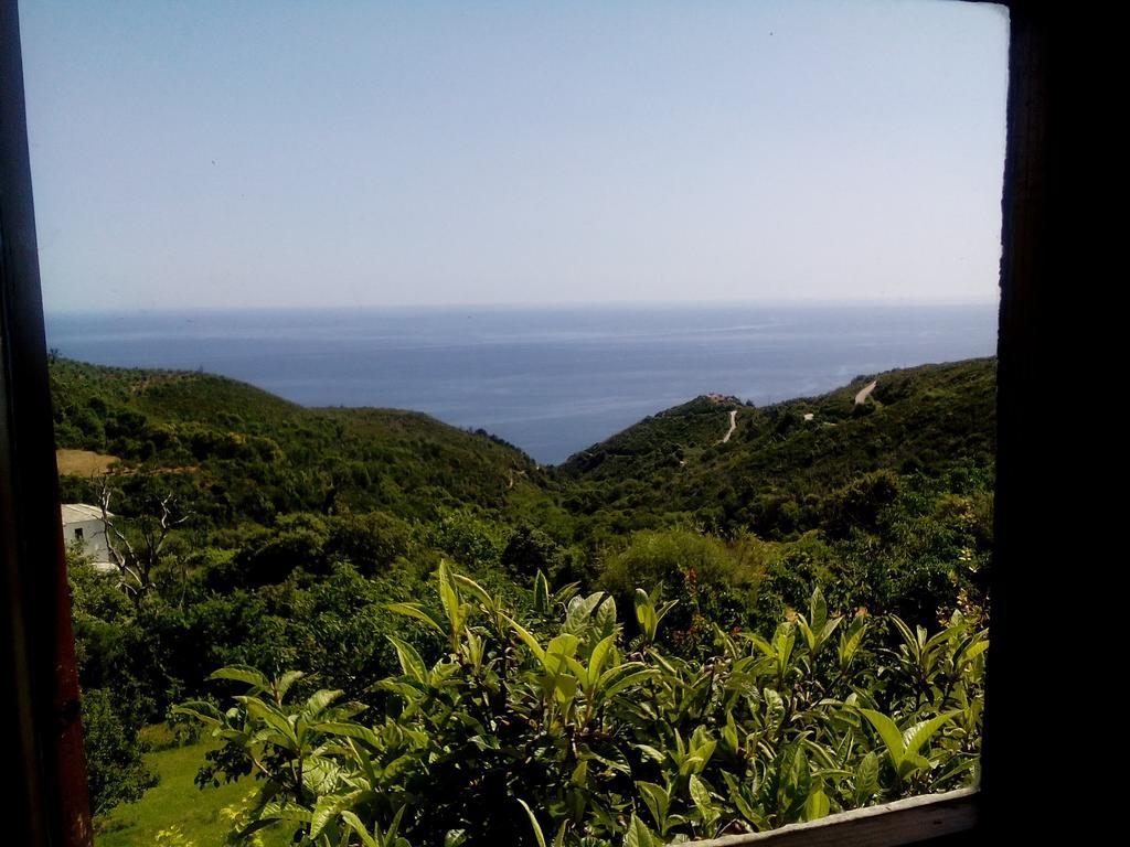Nightingale Cottage Pelion Kalamaki  المظهر الخارجي الصورة