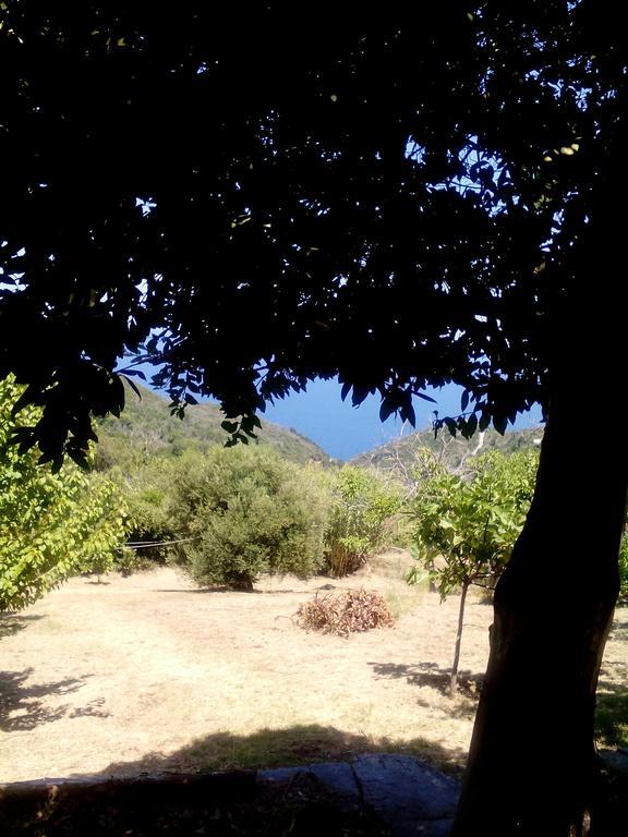 Nightingale Cottage Pelion Kalamaki  المظهر الخارجي الصورة